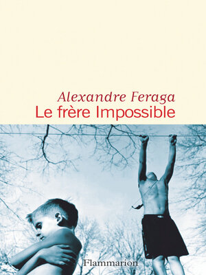 cover image of Le frère impossible